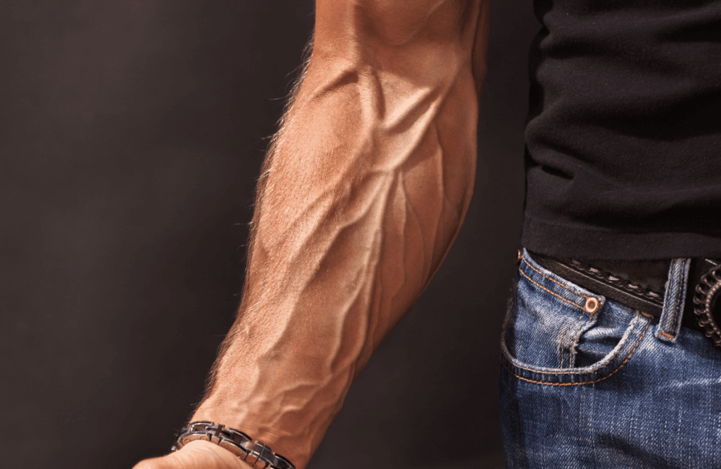 Entrenador Antebrazo